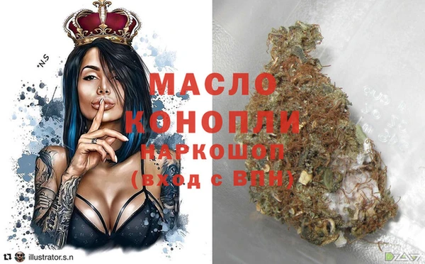 гидра Кодинск