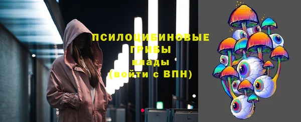 ГАЛЛЮЦИНОГЕННЫЕ ГРИБЫ Киренск