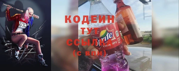 гидра Кодинск