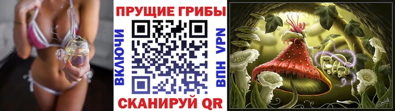 Галлюциногенные грибы MAGIC MUSHROOMS  Купить  Лабинск 
